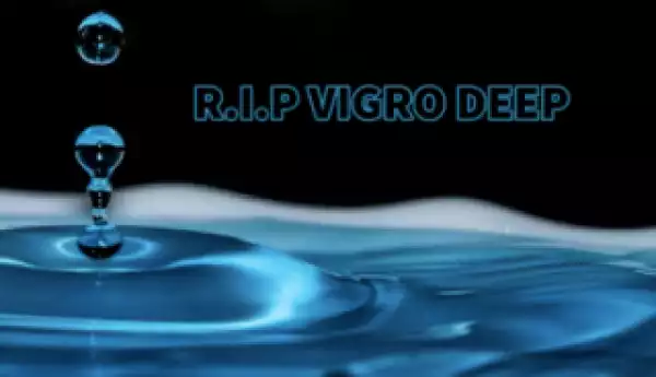 Dj Snowboy - R.I.P Vigro Deep